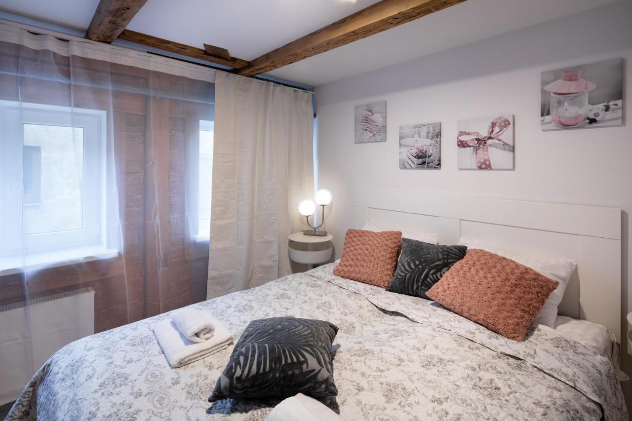 Merkela Loft Apartment Beside Vermanes Park Riga Exterior photo